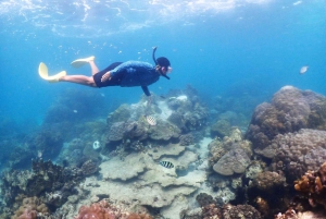 Snorkling som heldagsopplevelse fra Bangkok