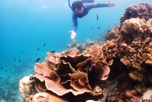 Snorkling som heldagsopplevelse fra Bangkok