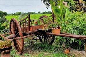 Cultural immersion: Thai cooking, rice farming, eco printing