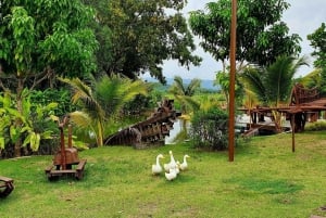 Cultural immersion: Thai cooking, rice farming, eco printing