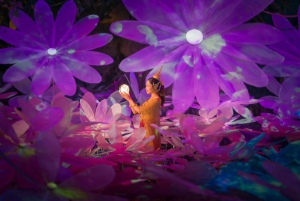 Obiektyw: Raz w roku w parku Na Satta podczas festiwalu świateł