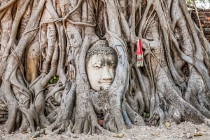 The Old Siam: Ayutthaya Temples Small Group Tour with Lunch