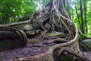 The Wilds: Khao Yai Trekking og Stargazing 2-dages tur