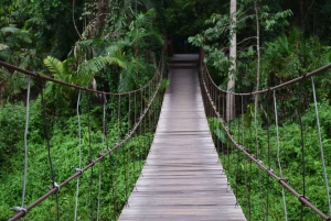 The Wilds: Khao Yai Trekking og Stargazing 2-dages tur