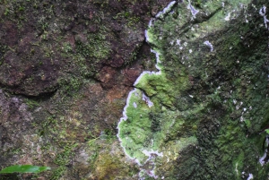 The Wilds: Khao Yai Trekking og Stargazing 2-dages tur