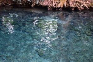 The Wilds: Khao Yai Trekking og Stargazing 2-dages tur