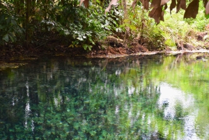 The Wilds: Khao Yai Trekking og Stargazing 2-dages tur