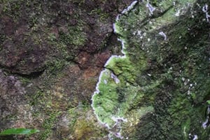 The Wilds: tour di 2 giorni con trekking e osservazione delle stelle a Khao Yai