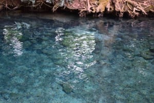 The Wilds: tour di 2 giorni con trekking e osservazione delle stelle a Khao Yai