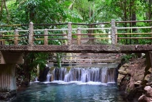 The Wilds: tour di 2 giorni con trekking e osservazione delle stelle a Khao Yai