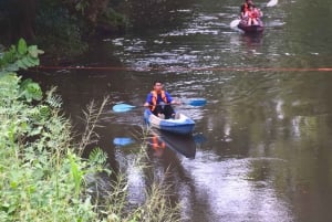 The Wilds: tour di 2 giorni con trekking e osservazione delle stelle a Khao Yai
