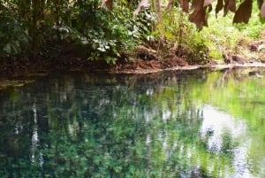 The Wilds: tour di 2 giorni con trekking e osservazione delle stelle a Khao Yai