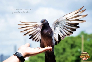 Aventura gastronômica e nos canais de Thonburi