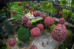 Bangkok til Pattaya med Premium Car