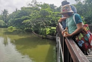 Wycieczka tuk-tukiem, łodzią z długim ogonem i rikszą po dżungli Bangkoku