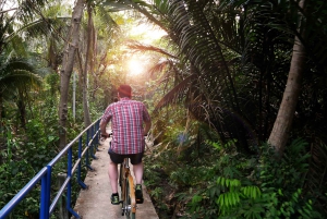 Twilight Firefly Bangkok Bicycle Tour