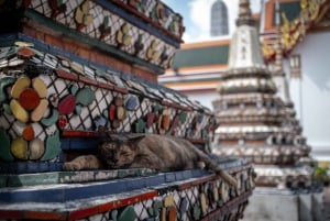 Tour a piedi del Grand Palace, del Buddha di Smeraldo e del Wat Pho
