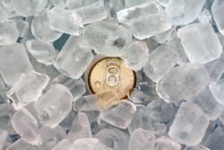 Drinking Water and ice