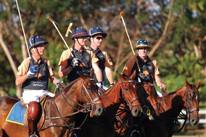 Polo in Barbados