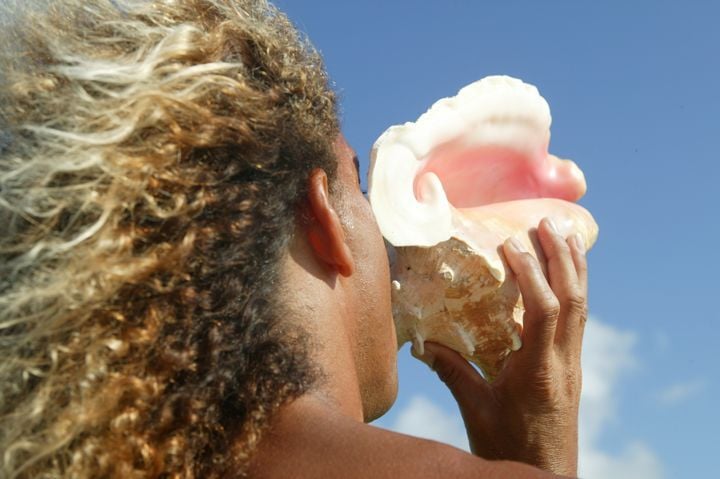Conch shell blowing is a symbol of beach culture (Credit: Chris Welch for Brian Talma)