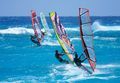 Windsurfers all in a row (Credit: Chris Welch for Brian Talma)