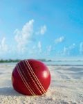 Cricket reigns supreme as king of local sports