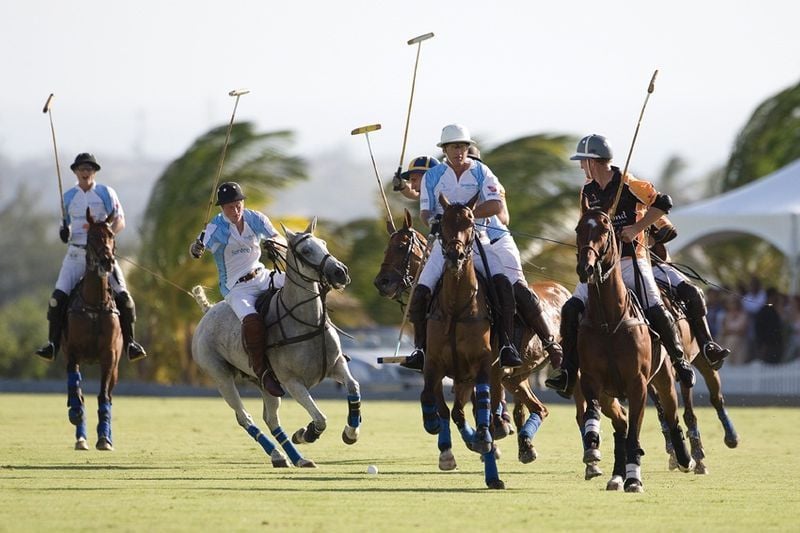 Polo at Apes Hill Club