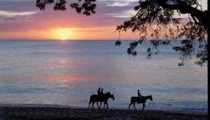 Ride off into the sunset