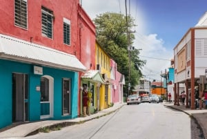 5 Hours St. Nicholas Abbey and Bajan Tour in Barbados