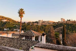 Alhambra og Nasrid-palassene - guidet tur med billetter
