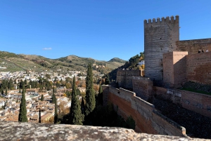 Alhambra og Nasrid-palassene - guidet tur med billetter