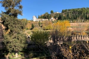 Alhambra og Nasrid-palassene - guidet tur med billetter