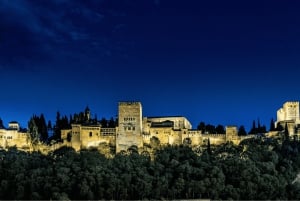 Alhambra: Nasrid Palaces Guided Night Tour uden billetter