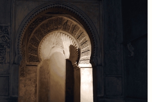 Alhambra: Nasrid Palaces Guided Night Tour uden billetter