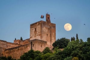 Alhambra mit den Nasridenpalästen – private Tour