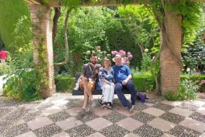 Alhambra mit den Nasridenpalästen – private Tour