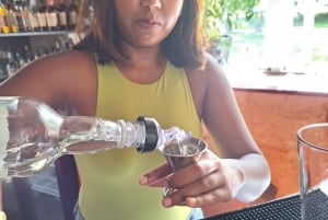 Experiência de rum com tudo incluído em Barbados