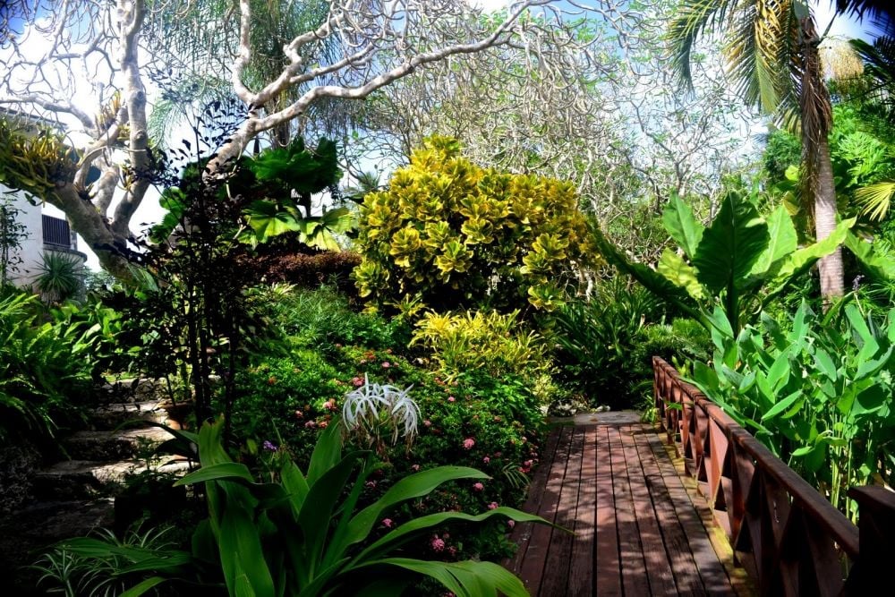 Andromeda Botanic Gardens
