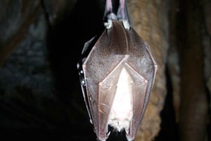 Arrábida: Caving Adventure with Photos