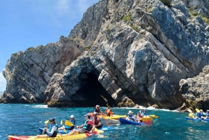 Arrábida - Sesimbra: Kajak-tur med guide