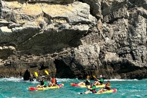 Arrábida - Sesimbra: Kajak-tur med guide