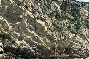 Arrábida - Sesimbra: Kajak-tur med guide