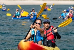 Arrábida - Sesimbra: Kajak-tur med guide