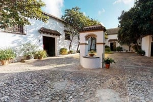 Barbadillo Winery guidet tur i Cadiz med vinsmagning