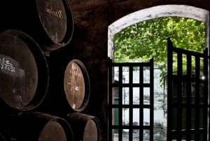 Barbadillo Winery guidet tur i Cadiz med vinsmagning