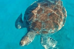 Barbados: aventura de snorkeling de 1 hora com a Supreme Watersports