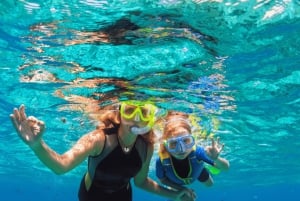 Barbados: aventura de snorkeling de 1 hora com a Supreme Watersports