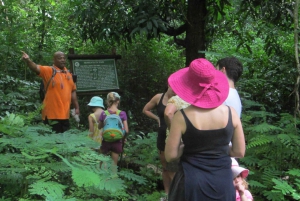 Barbados: 3-Hour Arbib Nature & Heritage Trail Hike