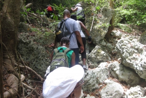 Barbados: 3-Hour Arbib Nature & Heritage Trail Hike