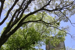 Excursão de dia inteiro ao paraíso de Barbados Bajan